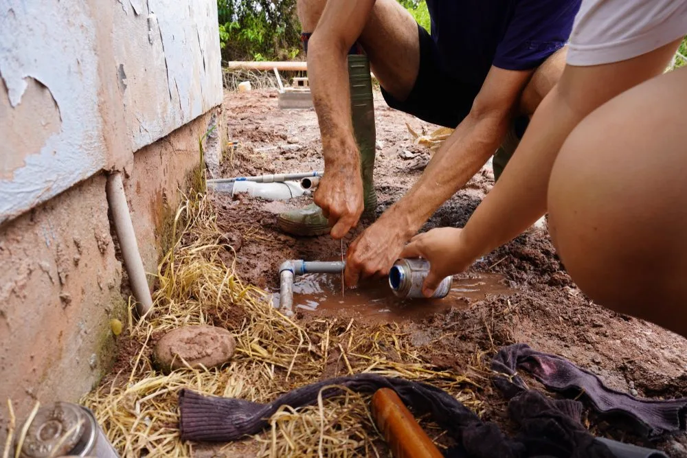 Hands uncovering a buried inspection lid while locating and mapping an underground drain